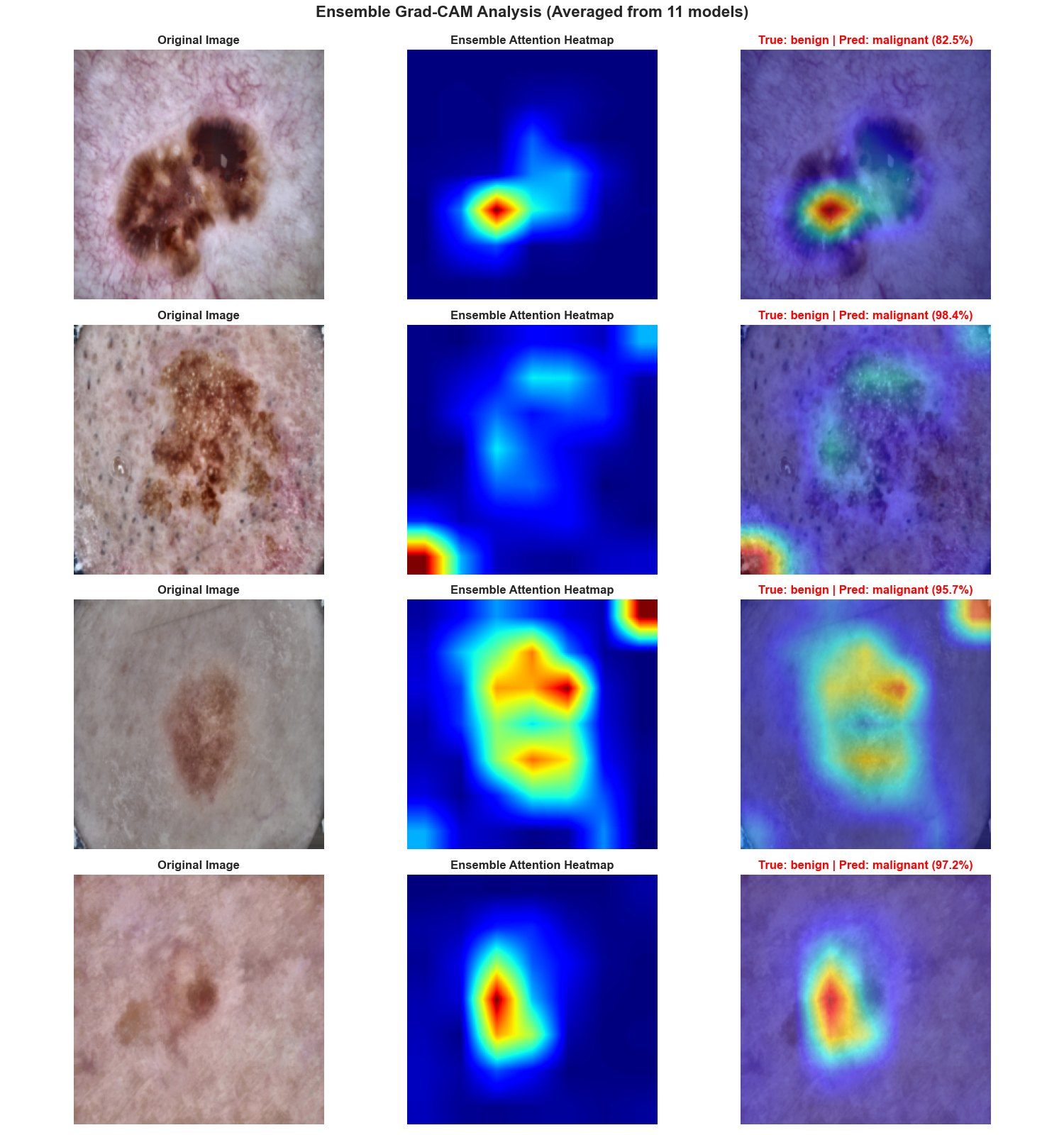 Grad-CAM Visualization